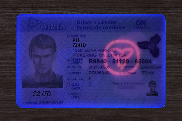 Ontario ID(2025 Version)