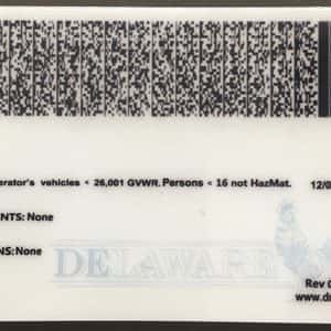 Delaware fake driver license card back