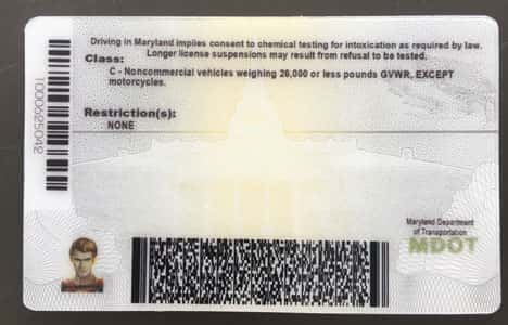 Maryland scannable Fake id back