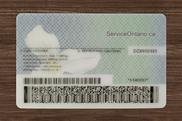 Ontario ID(2025 Version)