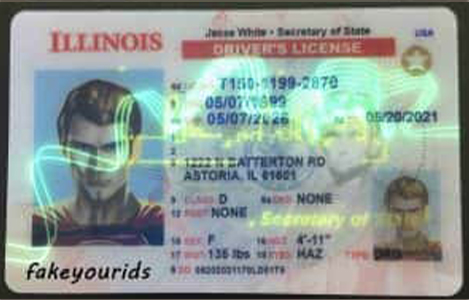 illinois Fake ID -2