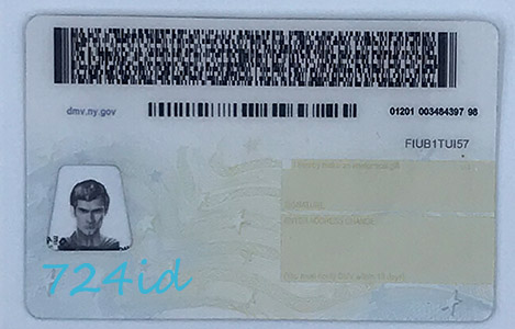 New York Scannable Fake ID & DL 2 Back