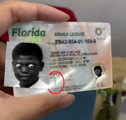 Florida Fake Driver License 10