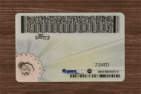 Virginia ID(2025 Version)