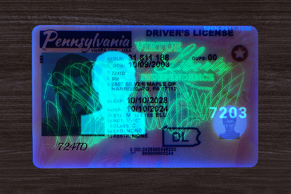 Pennsylvania ID(2025 Version)