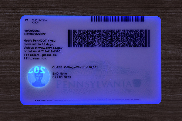 Pennsylvania ID(2025 Version)