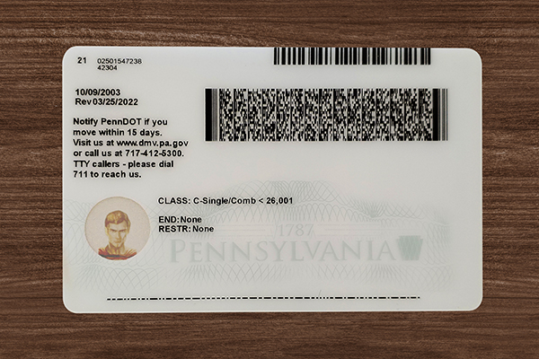 Pennsylvania ID(2025 Version)