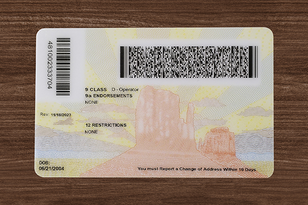 Arizona ID(2025 Version)