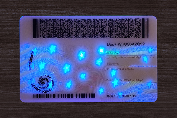 New York ID(2025 Version)