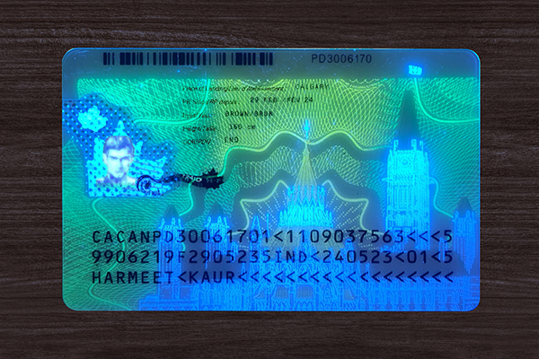 Canada Permanent Resident Card(2025)
