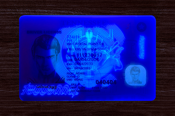 Tennessee ID  (2025 Version)