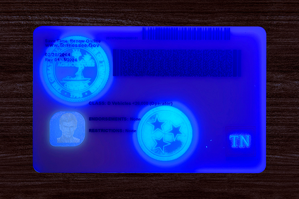 Tennessee ID  (2025 Version)
