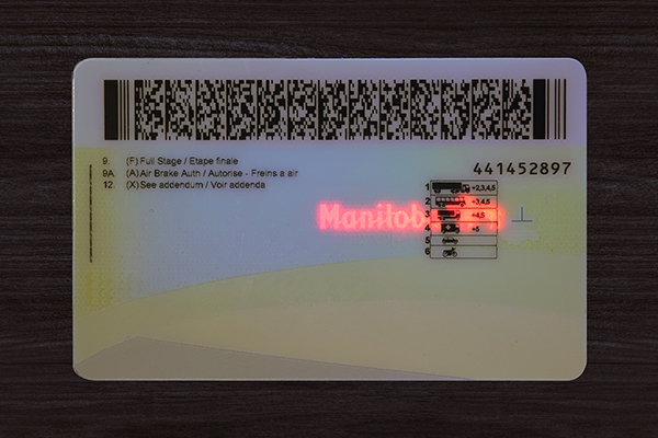 Manitoba ID (2026 Version)