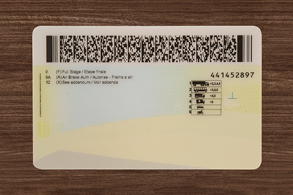 Manitoba ID (2026 Version)