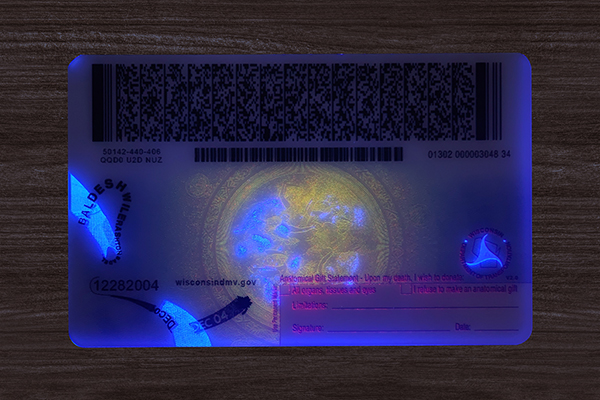 Wisconsin Identification Card(2026)