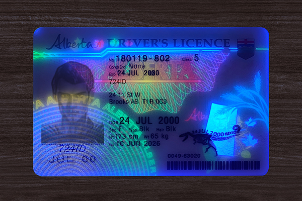 Alberta ID (2026 version)