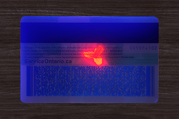 Ontario Health Card